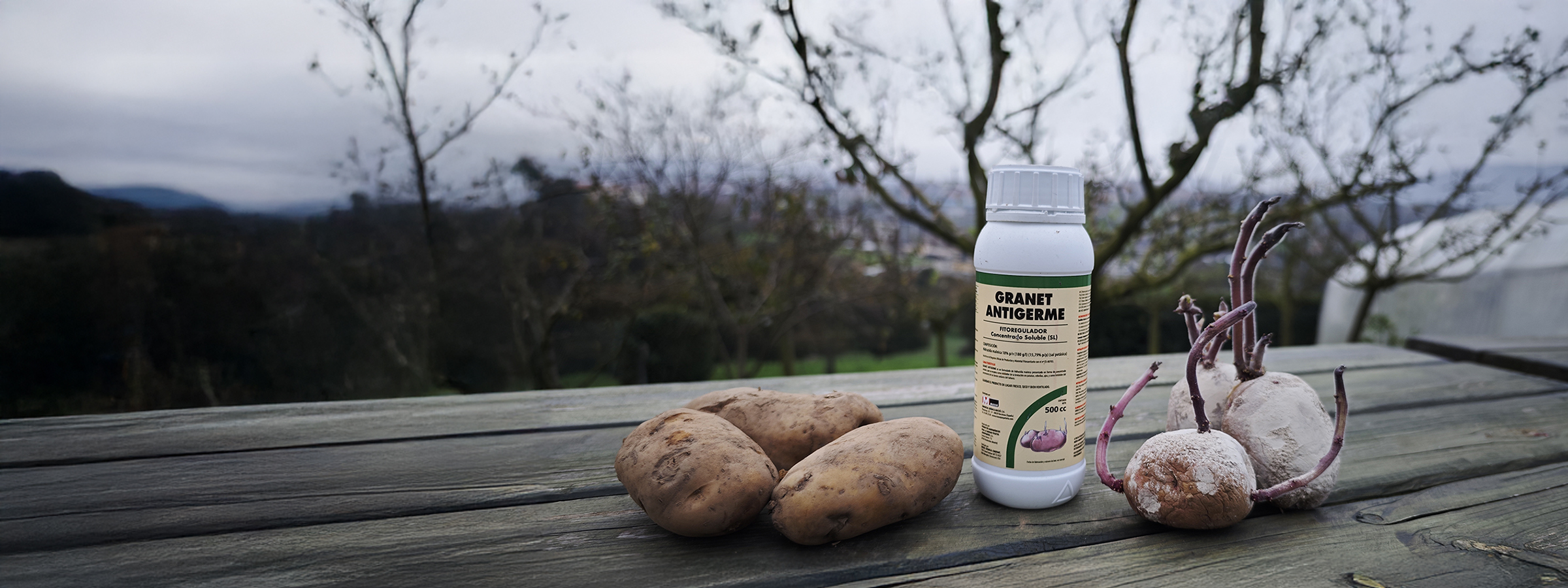 <span style="font-size: 2rem;">ANTIGERMINATIVO </span><br>GRANET ANTIGERME<sup>®</sup>